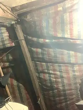 bi-bo123's cam snapshot