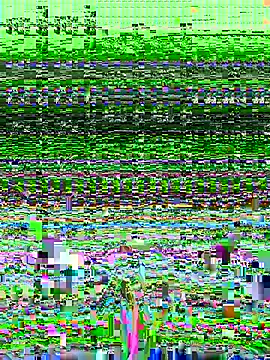 nana_na425's cam snapshot