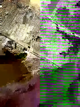 Eddyfrancis87 live sex cam