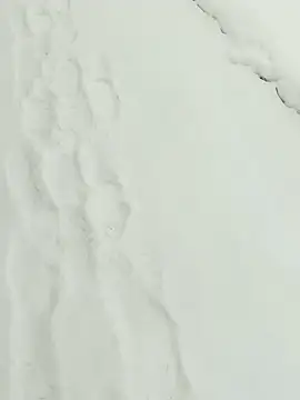 _uncle_Mitya-43_'s cam snapshot