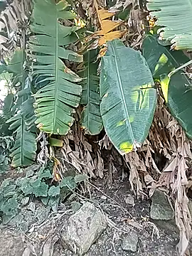 Tin_tanny's cam snapshot