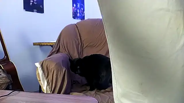 Huntall77's cam snapshot