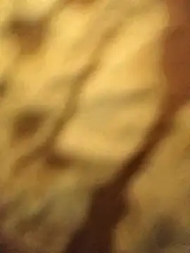 Baby-Linh's cam snapshot