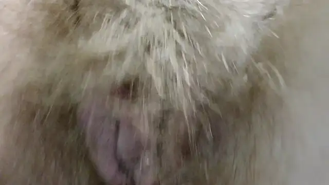 KiraGoldens live sex cam