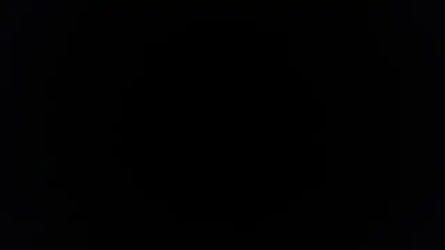 palidin1's cam snapshot