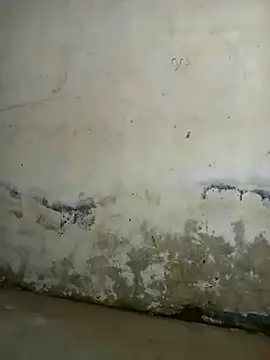 dorothyxx's cam snapshot