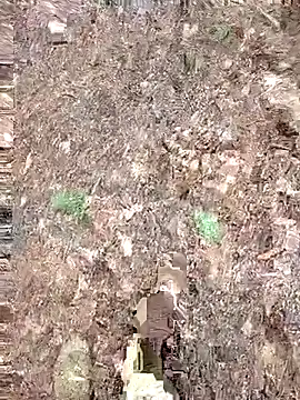 Nemon's cam snapshot