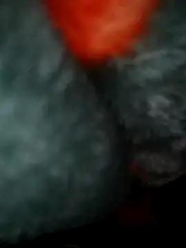 NoxiousFilename's cam snapshot