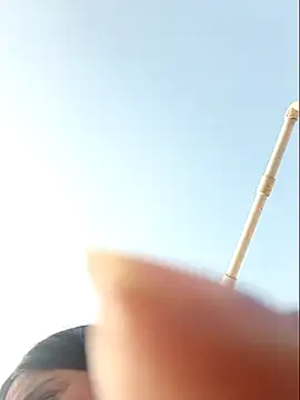 Jankisinghji's cam snapshot