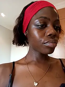 KIM-10111's cam snapshot