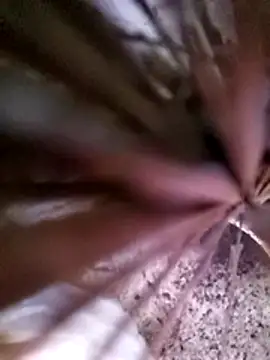 mimi2052's cam snapshot