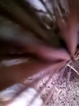 mimi2052's cam snapshot