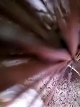 mimi2052's cam snapshot