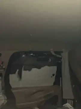 prekumstud live sex cam