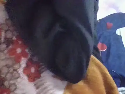 AKANSHA_7's cam snapshot