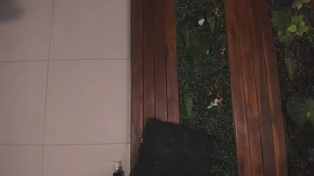 Andy_Joy_'s cam snapshot