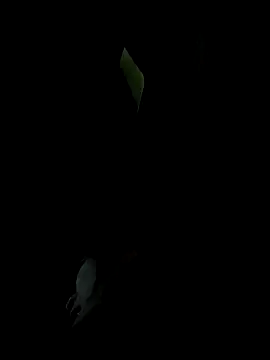 yourkeer live sex cam