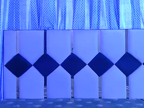 Shinykrishaa's cam snapshot