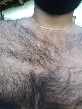 SL_BEAR live sex cam