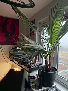 pillepallex84x's cam snapshot