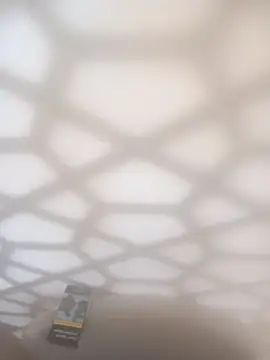 bullut06 live sex cam