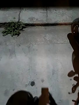 Outdoor_exhibitionist's cam snapshot