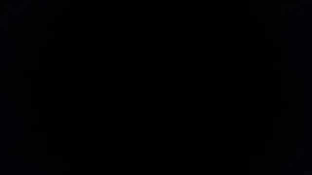 palidin1 live sex cam