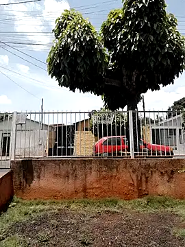 OfficialMineirinho's cam snapshot