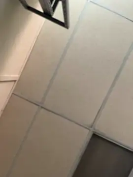 Ndodemnyama@xh's cam snapshot