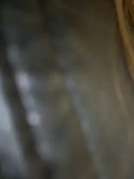 Sunny___Bunny live sex cam