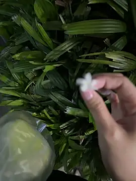 Hamy88's cam snapshot