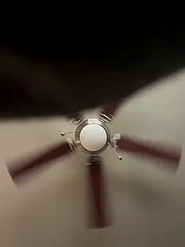 Tinytinkarough's cam snapshot