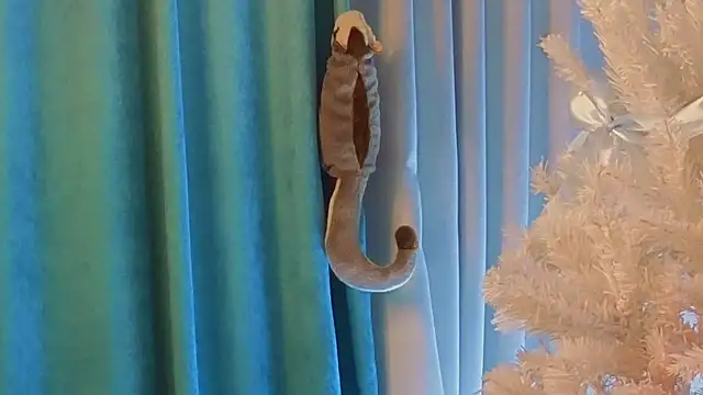 AngelicRice's cam snapshot