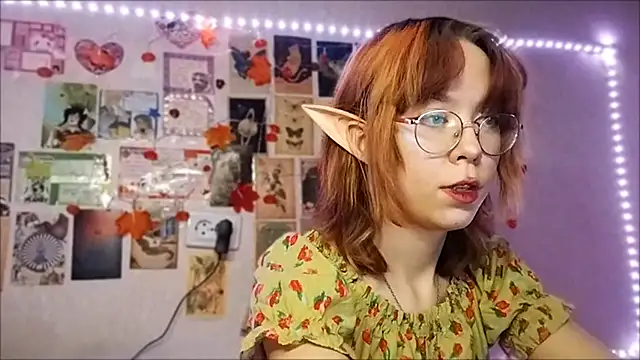 Ieadership's cam snapshot