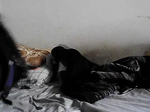 GordoChancludoSLP live sex cam