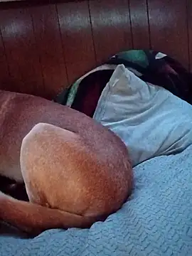 RobStrokes215's cam snapshot