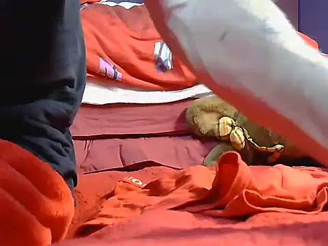 Pintiliescu's cam snapshot