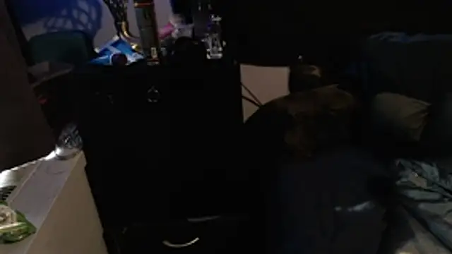 partymen's cam snapshot