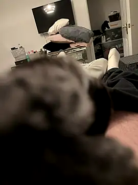 Furdale's cam snapshot