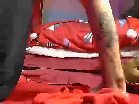 Pintiliescu's cam snapshot