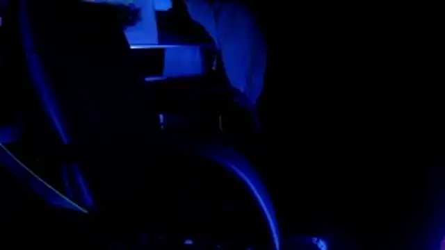 Bowerboi's cam snapshot