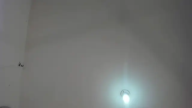 arielasm's cam snapshot