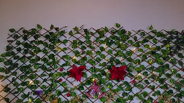 alice_rous21's cam snapshot