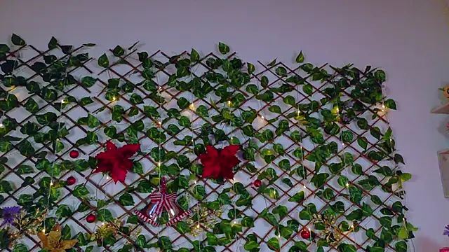 alice_rous21's cam snapshot