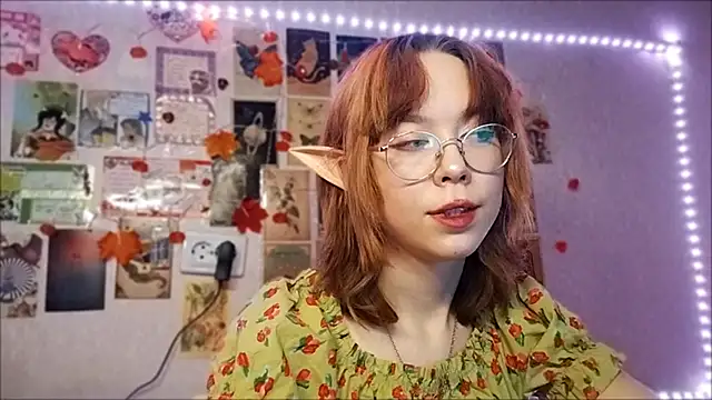 Ieadership's cam snapshot