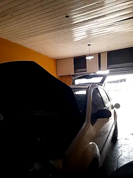 hecwil8 live sex cam