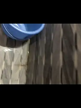 ONestark live sex cam