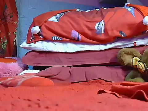 Pintiliescu's cam snapshot