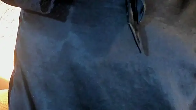 joselin_rouse's cam snapshot