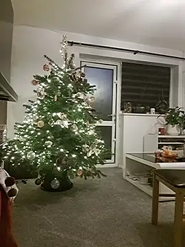 Adam11699's cam snapshot